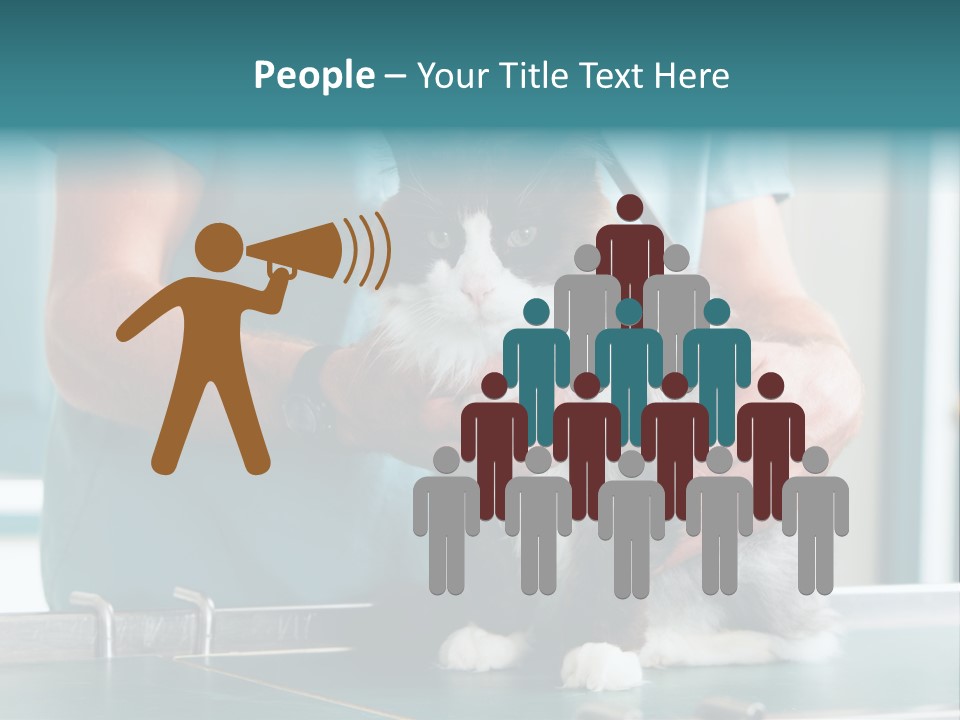 Health Stethoscope Doctor PowerPoint Template