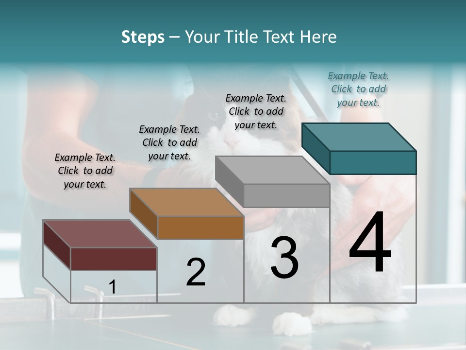 Health Stethoscope Doctor PowerPoint Template