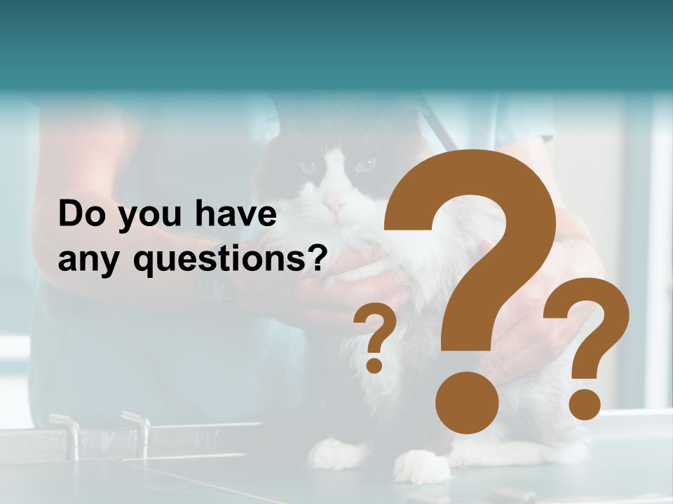 Health Stethoscope Doctor PowerPoint Template