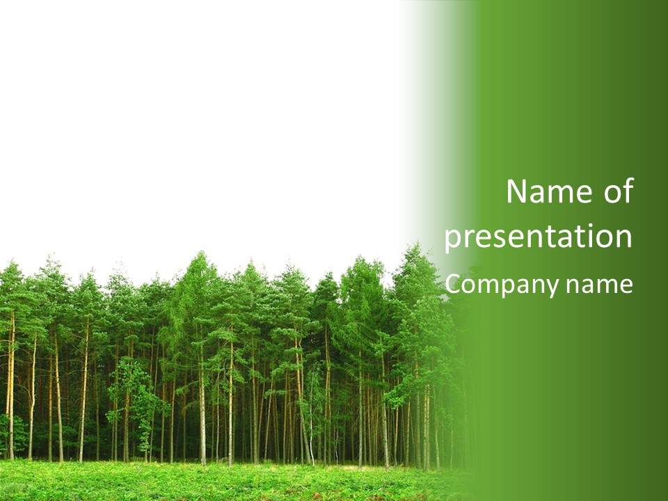 Tree Wood Sunny PowerPoint Template