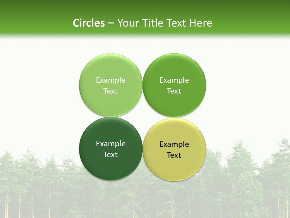 Tree Wood Sunny PowerPoint Template