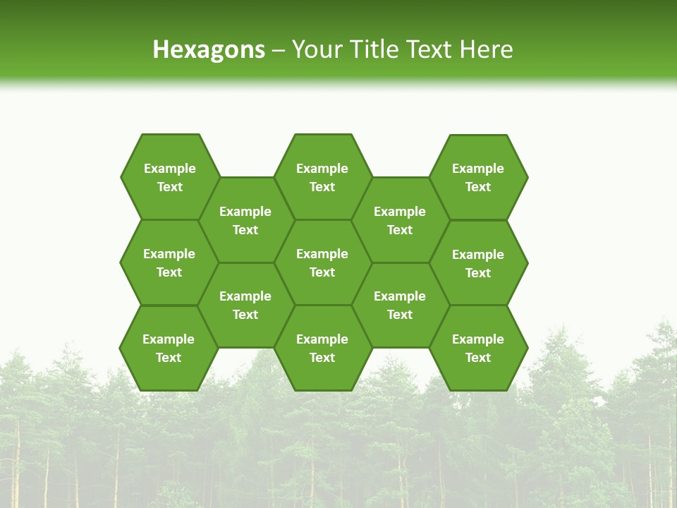 Tree Wood Sunny PowerPoint Template