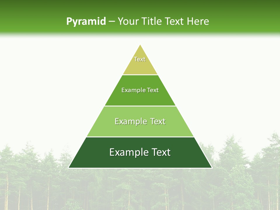 Tree Wood Sunny PowerPoint Template