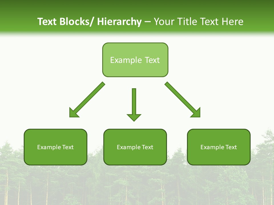 Tree Wood Sunny PowerPoint Template