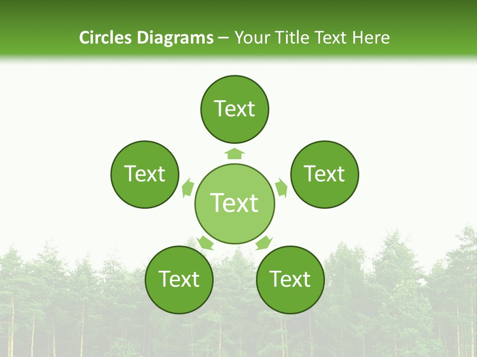 Tree Wood Sunny PowerPoint Template