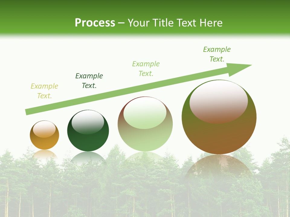 Tree Wood Sunny PowerPoint Template