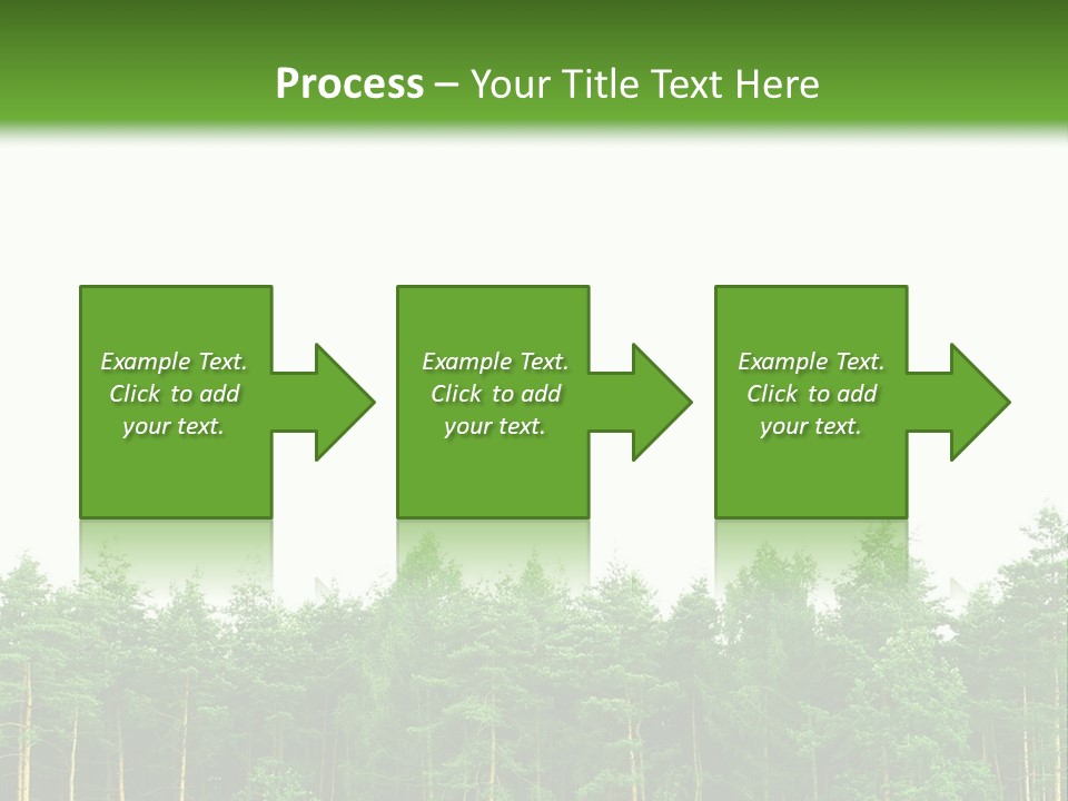 Tree Wood Sunny PowerPoint Template