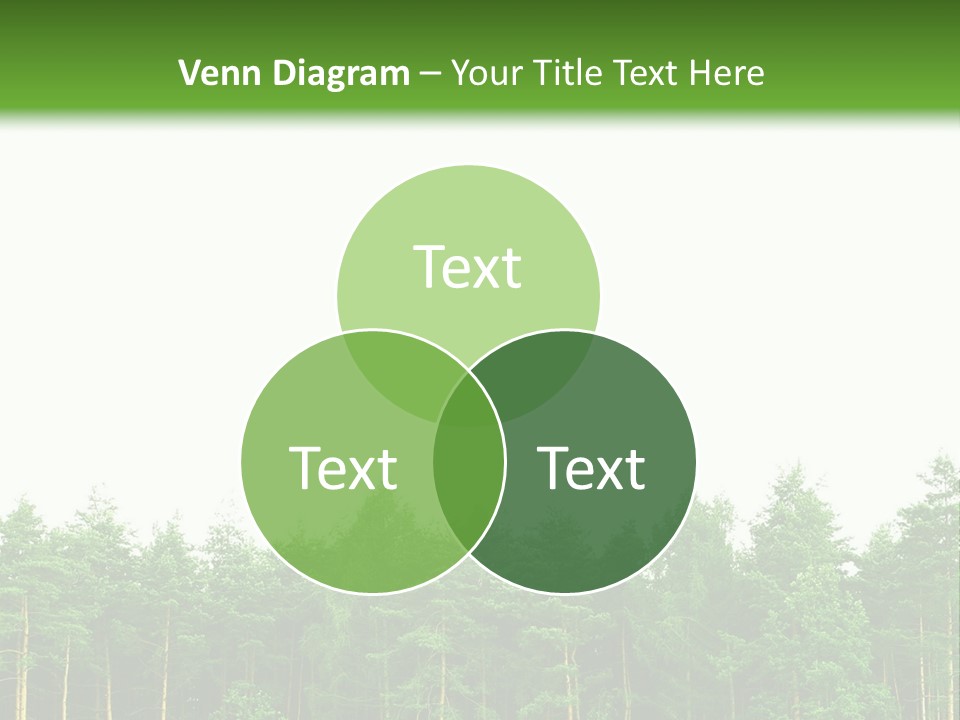 Tree Wood Sunny PowerPoint Template