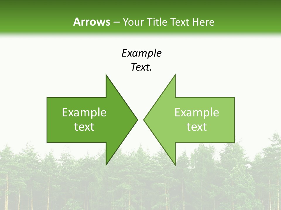Tree Wood Sunny PowerPoint Template