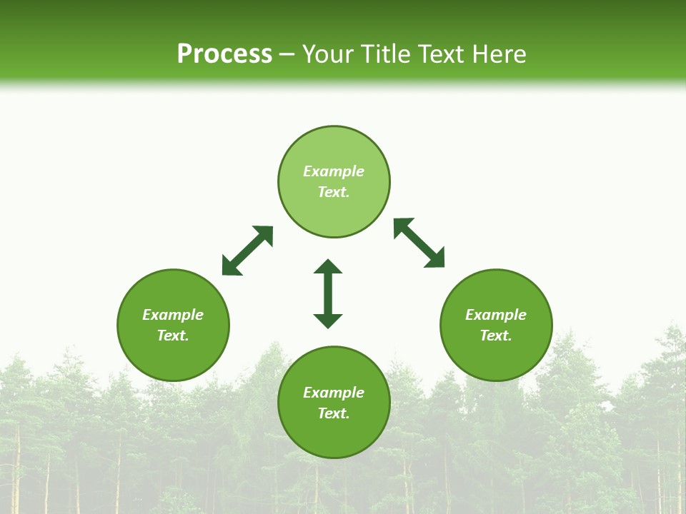 Tree Wood Sunny PowerPoint Template