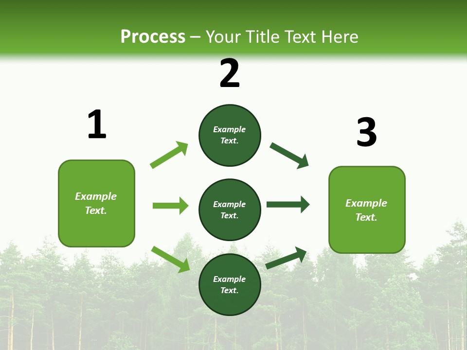 Tree Wood Sunny PowerPoint Template