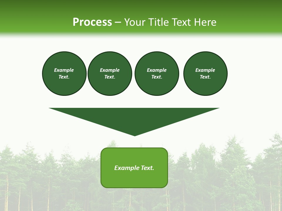 Tree Wood Sunny PowerPoint Template