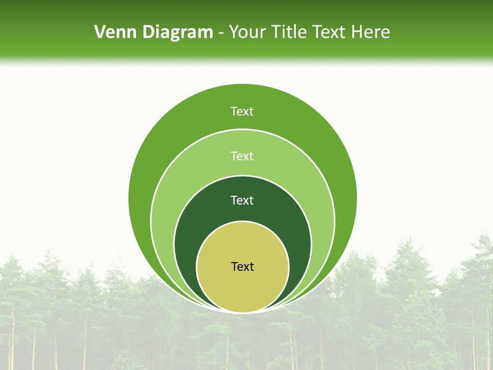 Tree Wood Sunny PowerPoint Template