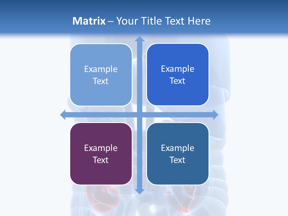 Vitals Belly Organ PowerPoint Template