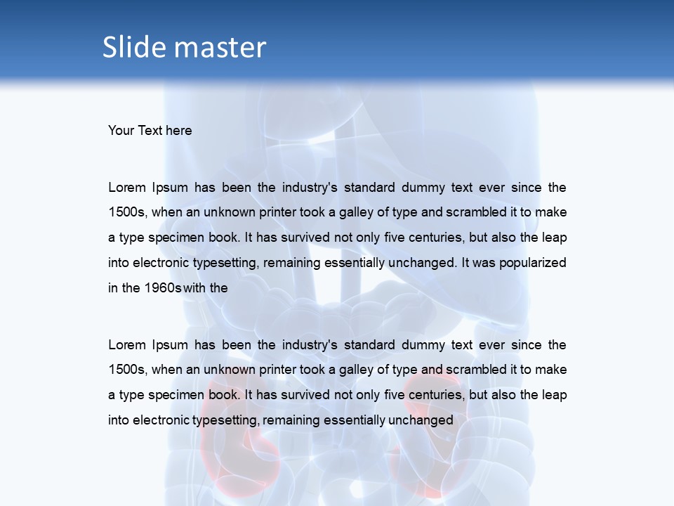 Vitals Belly Organ PowerPoint Template