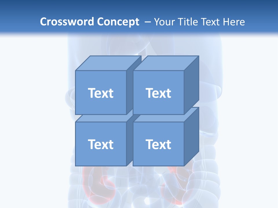 Vitals Belly Organ PowerPoint Template