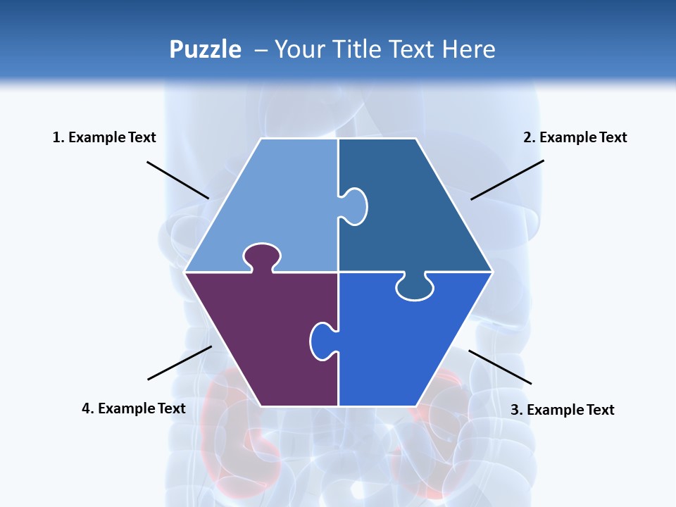 Vitals Belly Organ PowerPoint Template