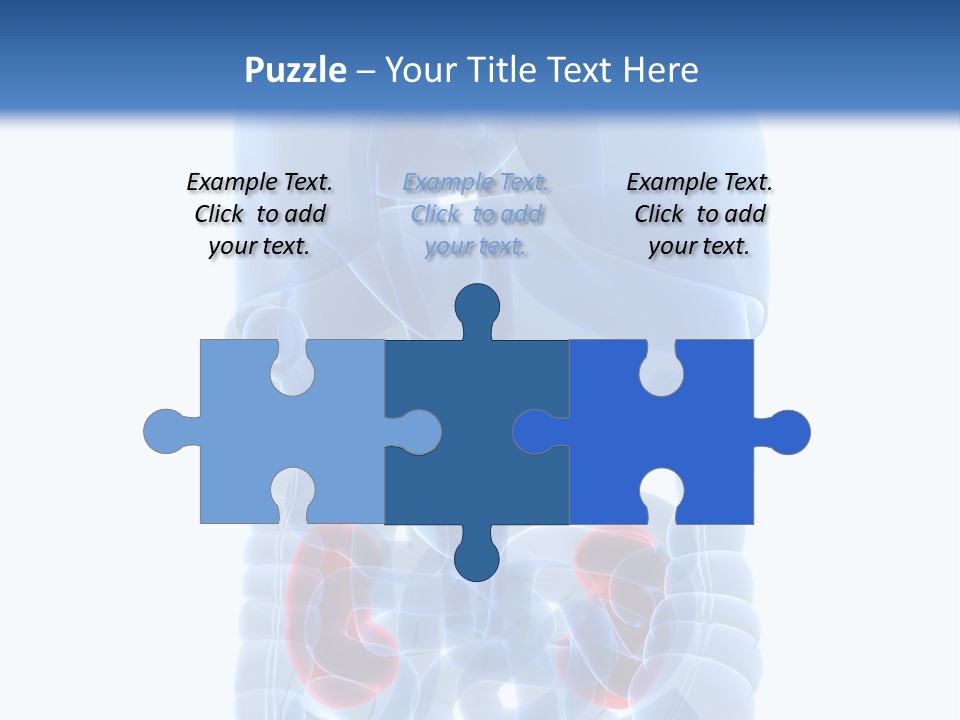 Vitals Belly Organ PowerPoint Template