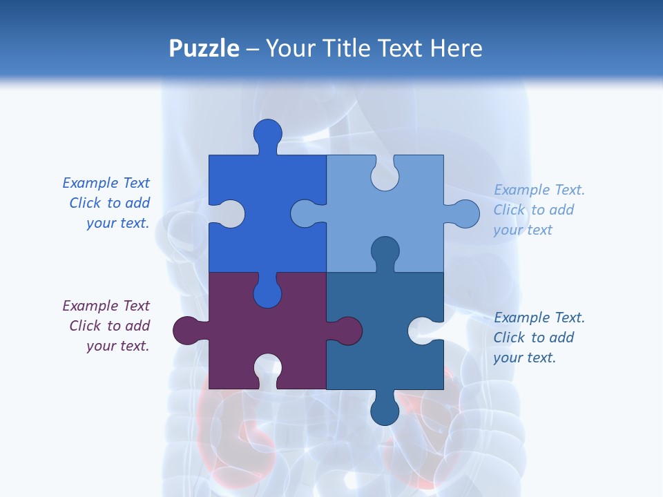 Vitals Belly Organ PowerPoint Template