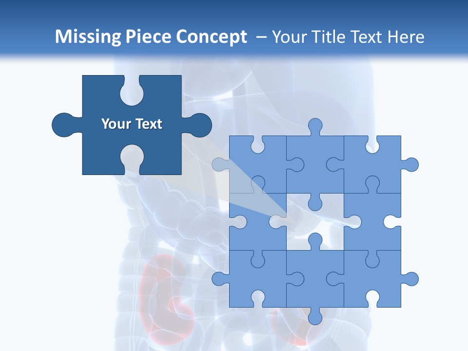 Vitals Belly Organ PowerPoint Template