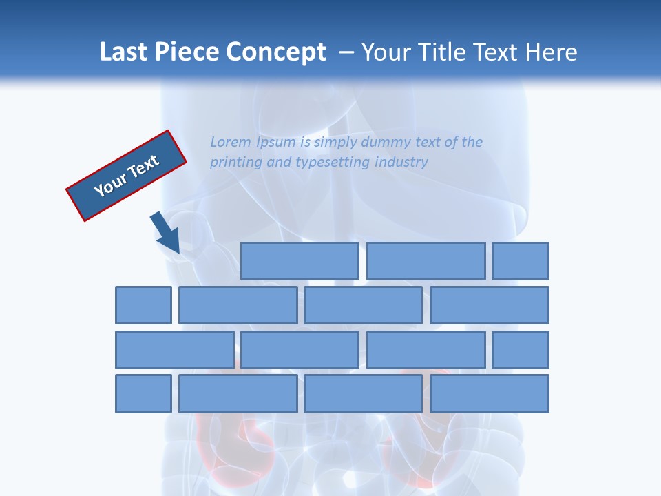 Vitals Belly Organ PowerPoint Template