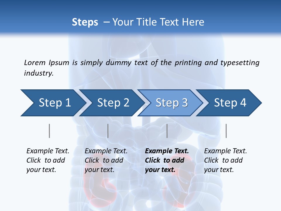 Vitals Belly Organ PowerPoint Template