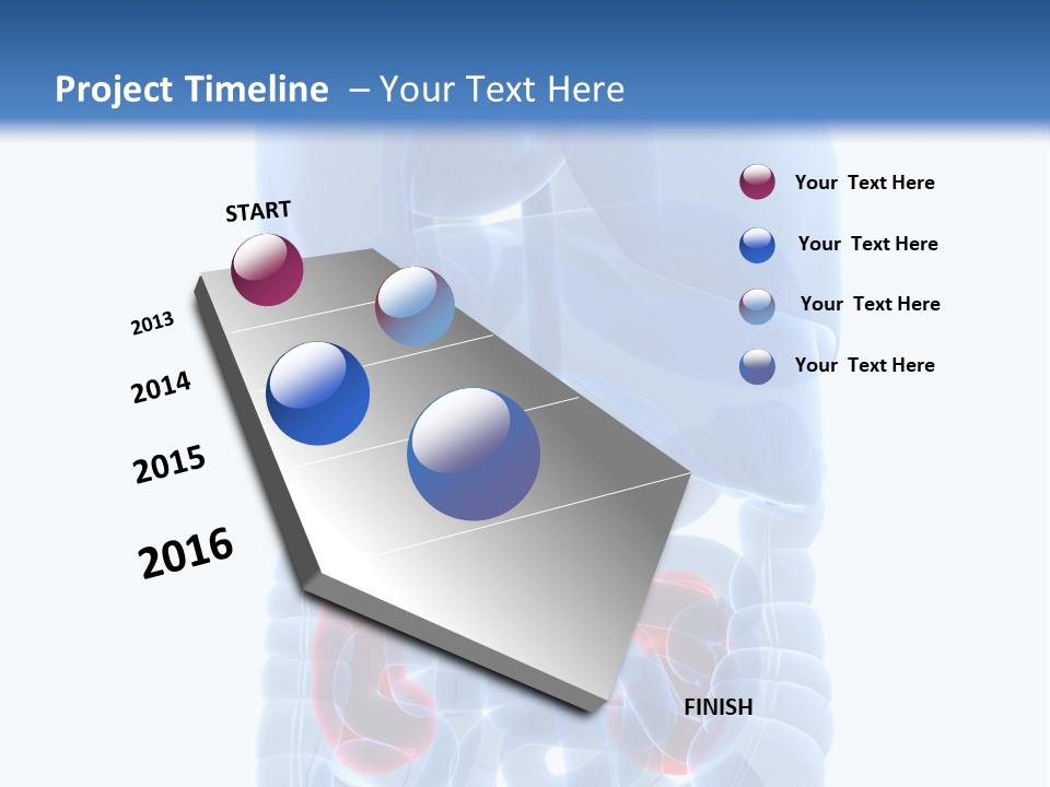 Vitals Belly Organ PowerPoint Template