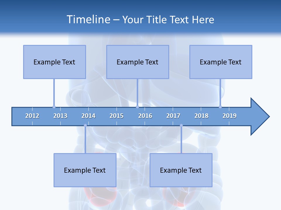 Vitals Belly Organ PowerPoint Template