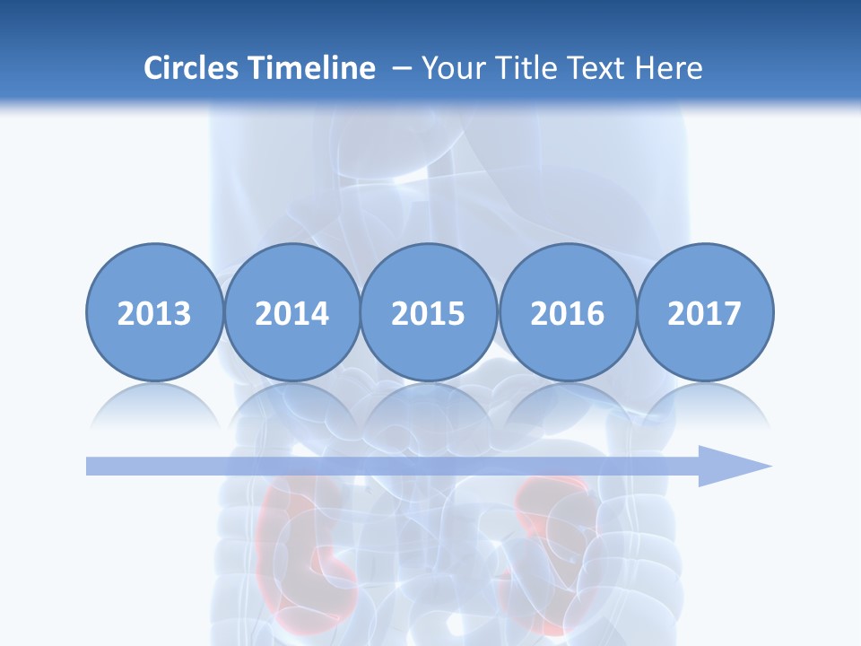 Vitals Belly Organ PowerPoint Template