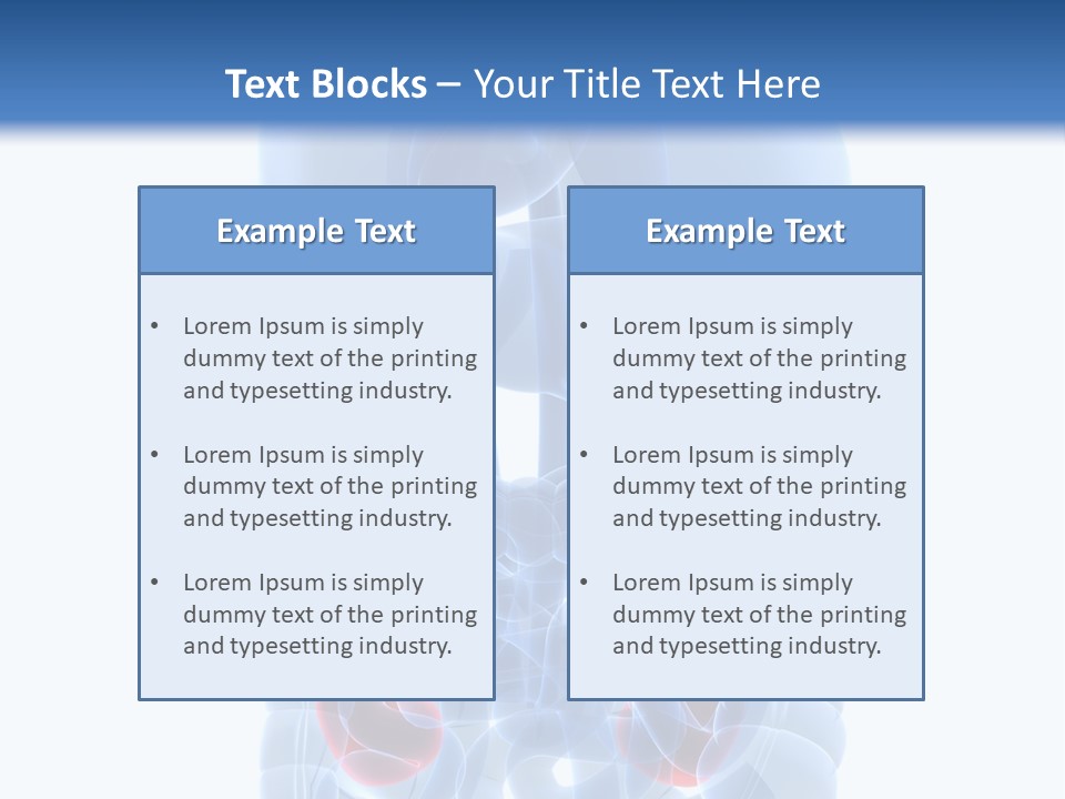 Vitals Belly Organ PowerPoint Template