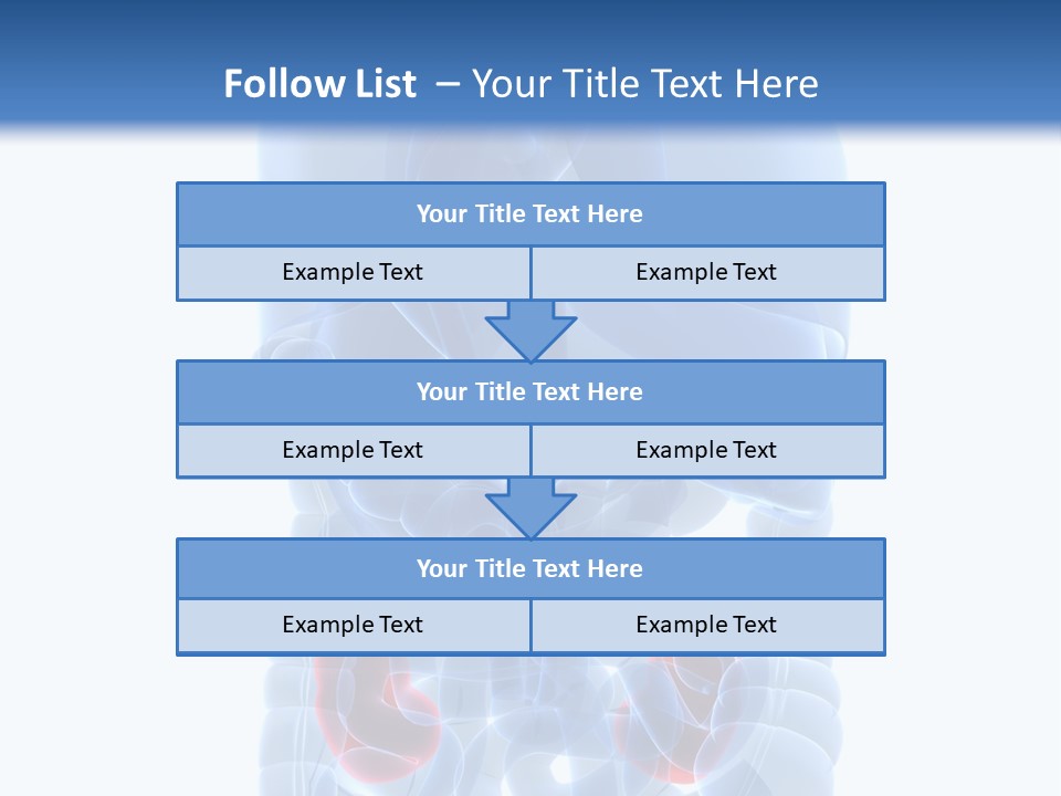 Vitals Belly Organ PowerPoint Template