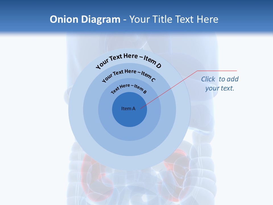 Vitals Belly Organ PowerPoint Template