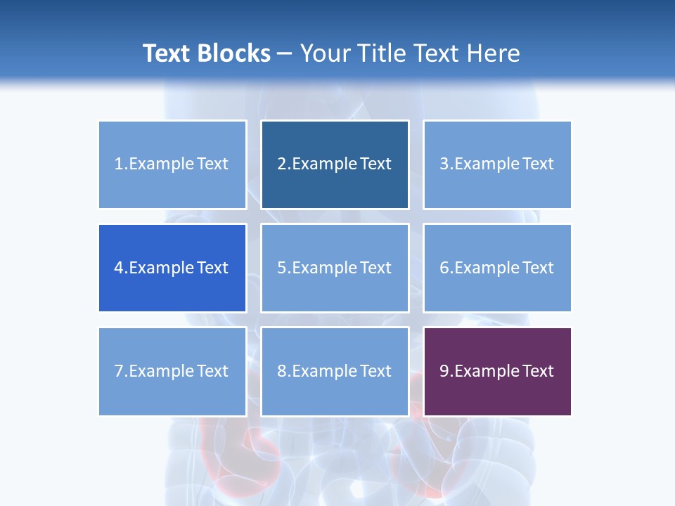 Vitals Belly Organ PowerPoint Template