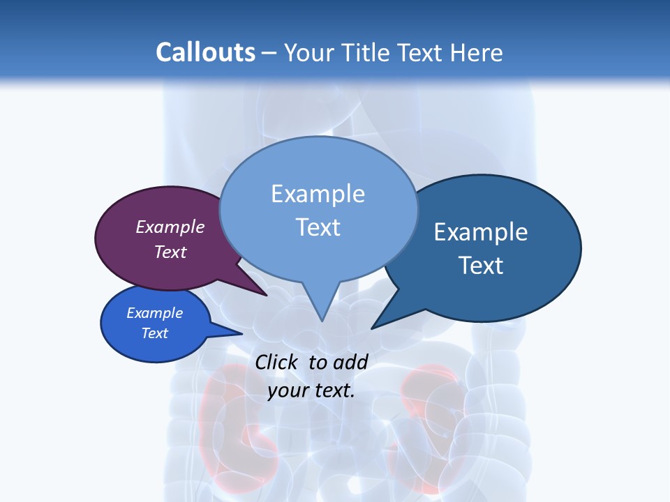 Vitals Belly Organ PowerPoint Template