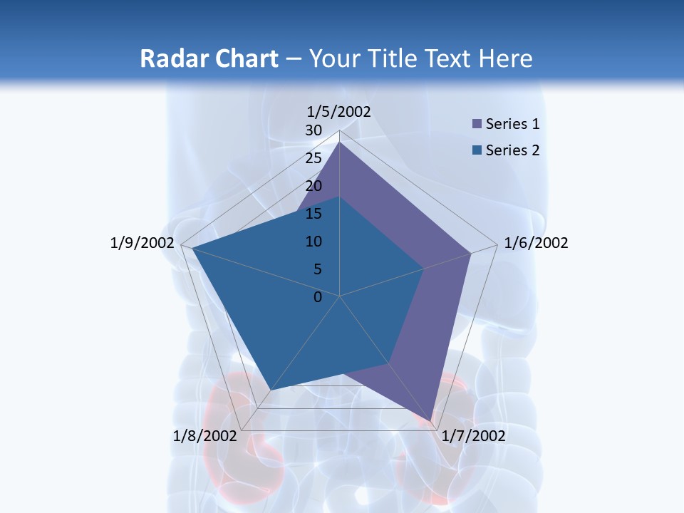 Vitals Belly Organ PowerPoint Template