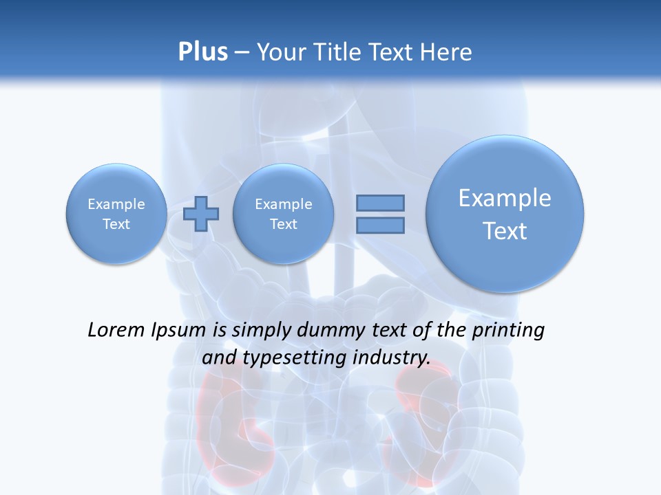Vitals Belly Organ PowerPoint Template