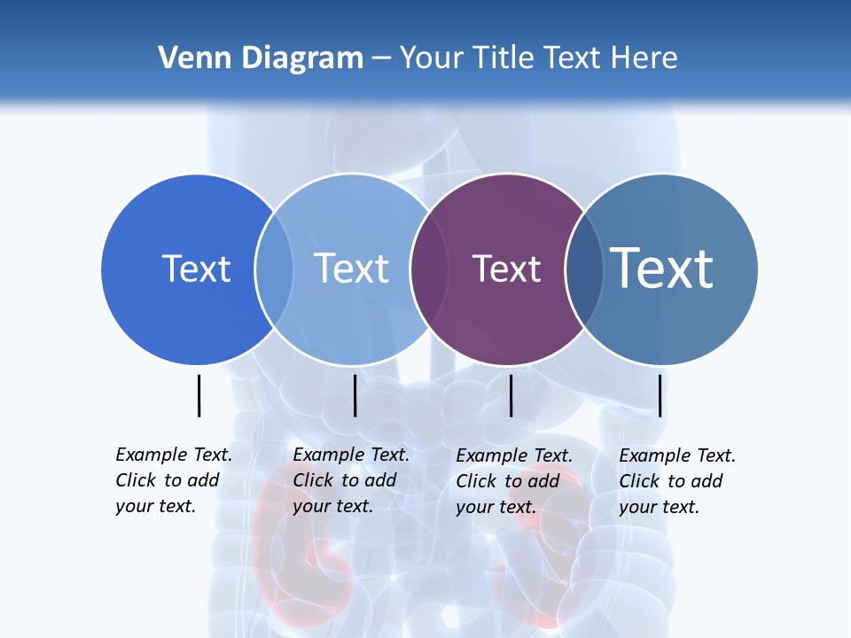 Vitals Belly Organ PowerPoint Template