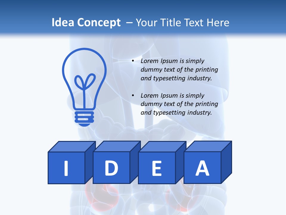 Vitals Belly Organ PowerPoint Template