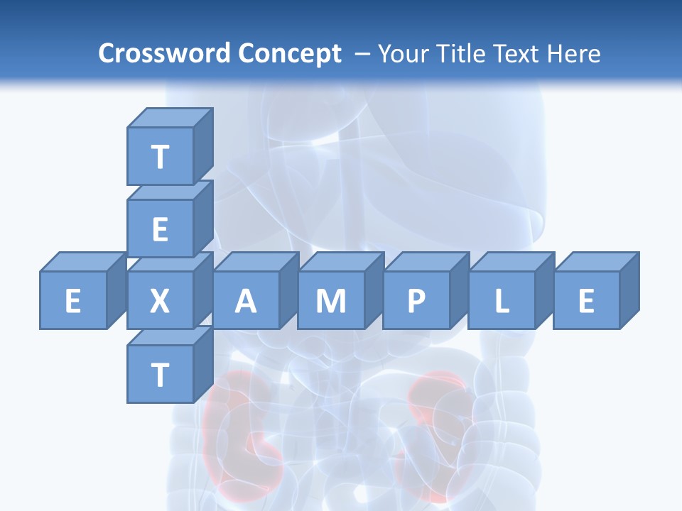 Vitals Belly Organ PowerPoint Template