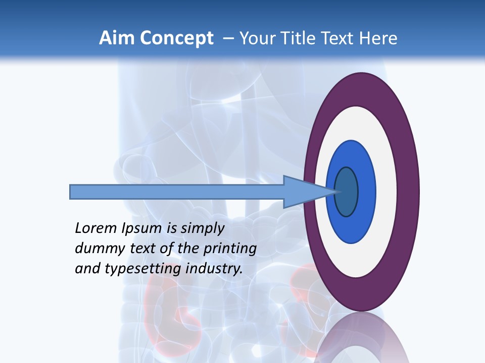 Vitals Belly Organ PowerPoint Template