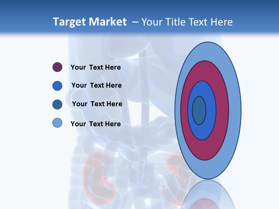 Vitals Belly Organ PowerPoint Template