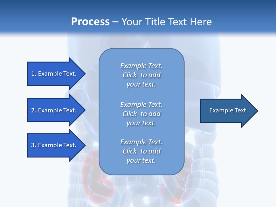 Vitals Belly Organ PowerPoint Template