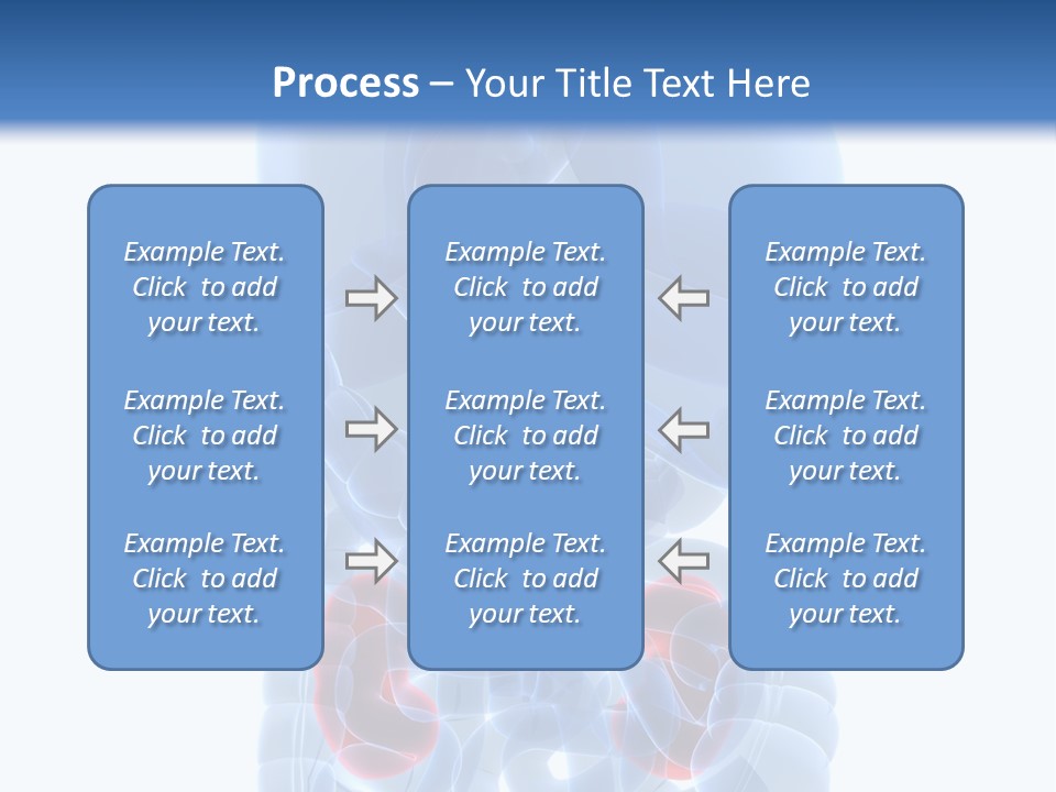 Vitals Belly Organ PowerPoint Template