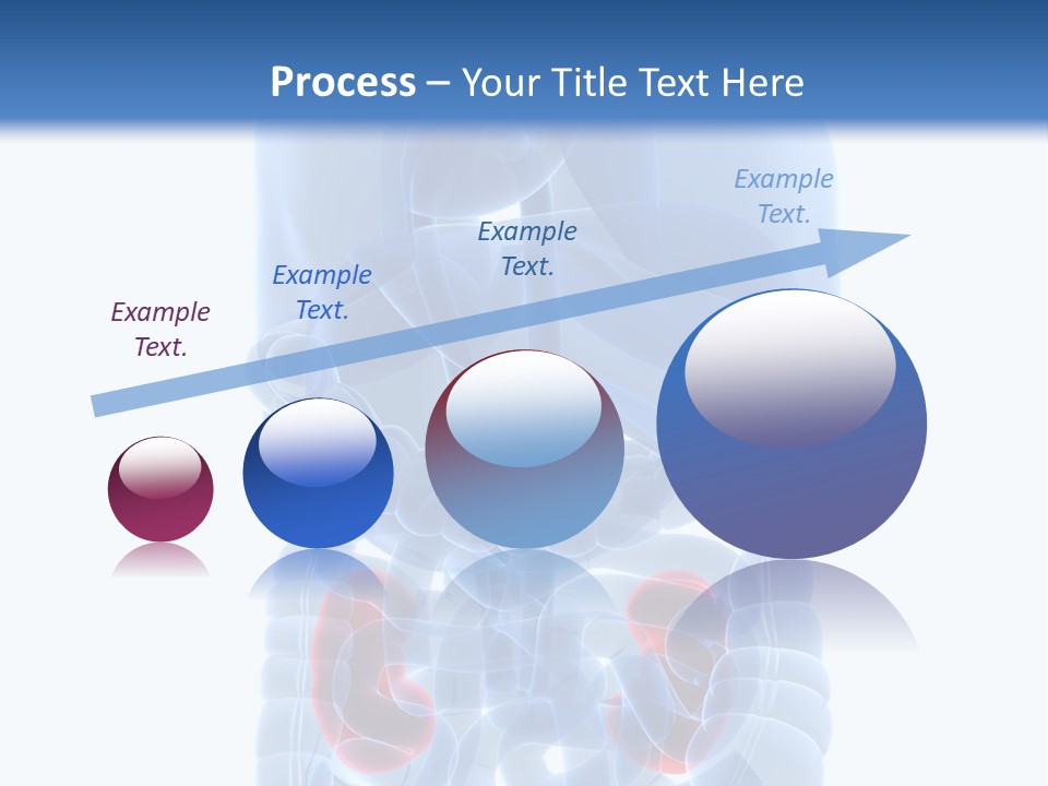 Vitals Belly Organ PowerPoint Template
