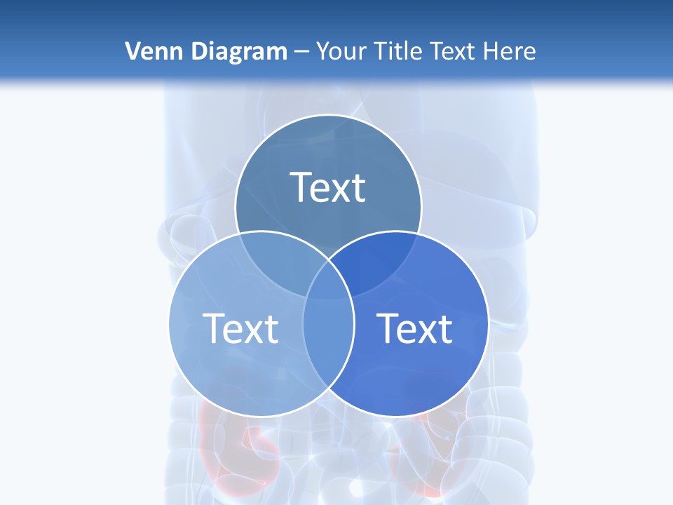 Vitals Belly Organ PowerPoint Template