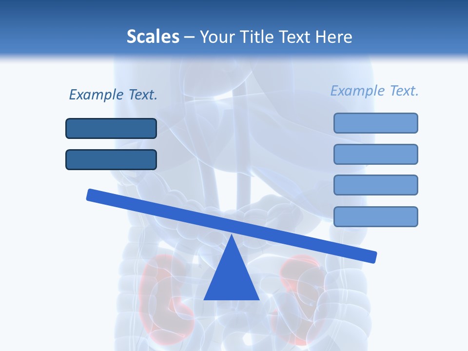 Vitals Belly Organ PowerPoint Template