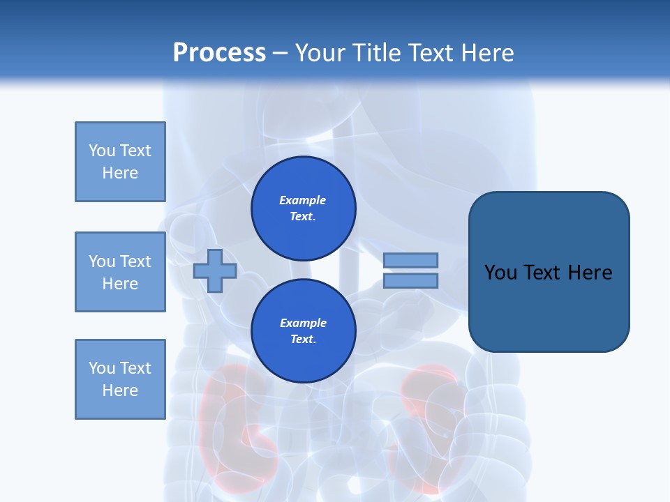 Vitals Belly Organ PowerPoint Template