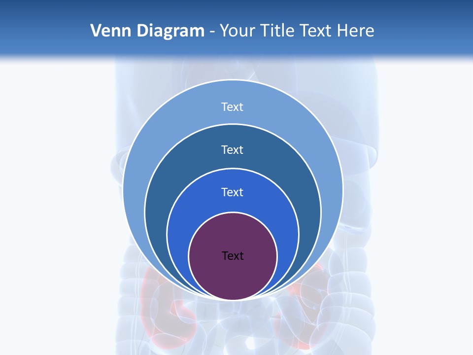 Vitals Belly Organ PowerPoint Template