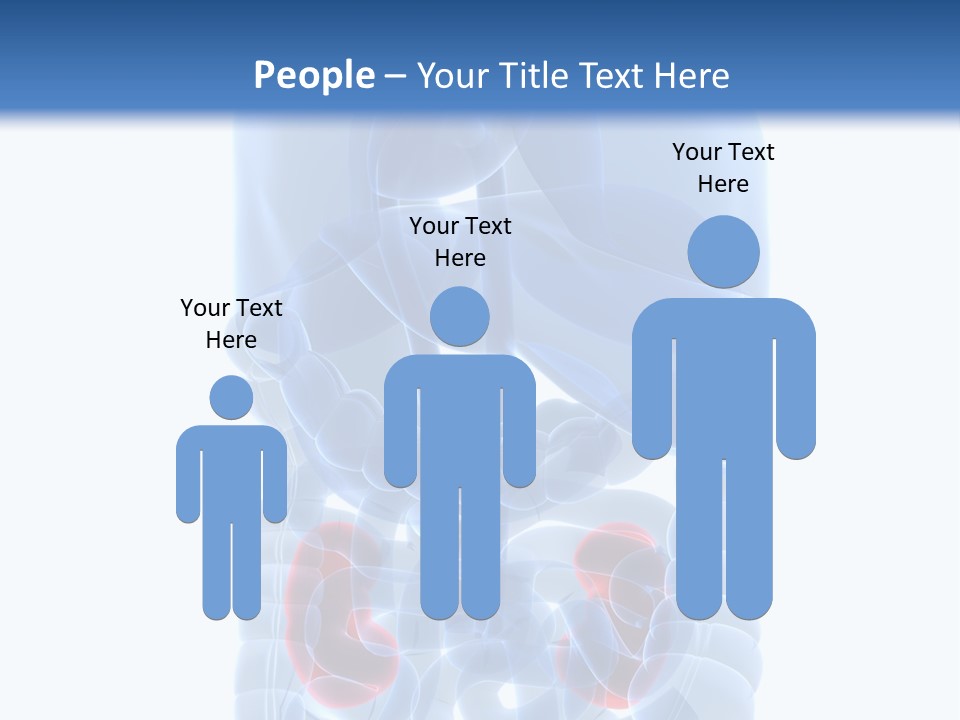 Vitals Belly Organ PowerPoint Template