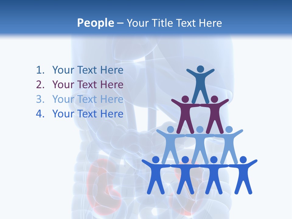Vitals Belly Organ PowerPoint Template